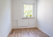 DSC01768.jpg