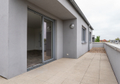 DSC01469-Bearbeitet-Bearbeitet.jpg